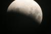 img_8454_t1.jpg